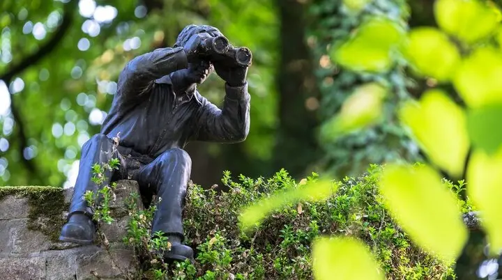 Wir suchen dich | © CC