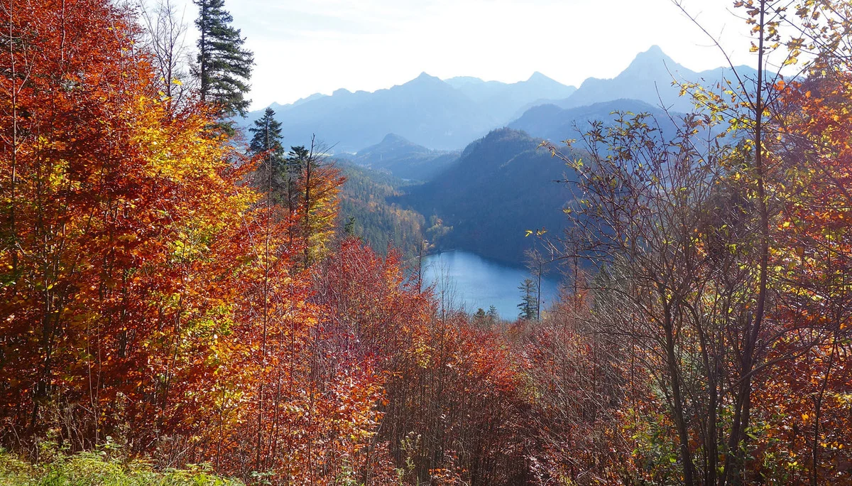 Alatsee | © razj Alatsee | © razj