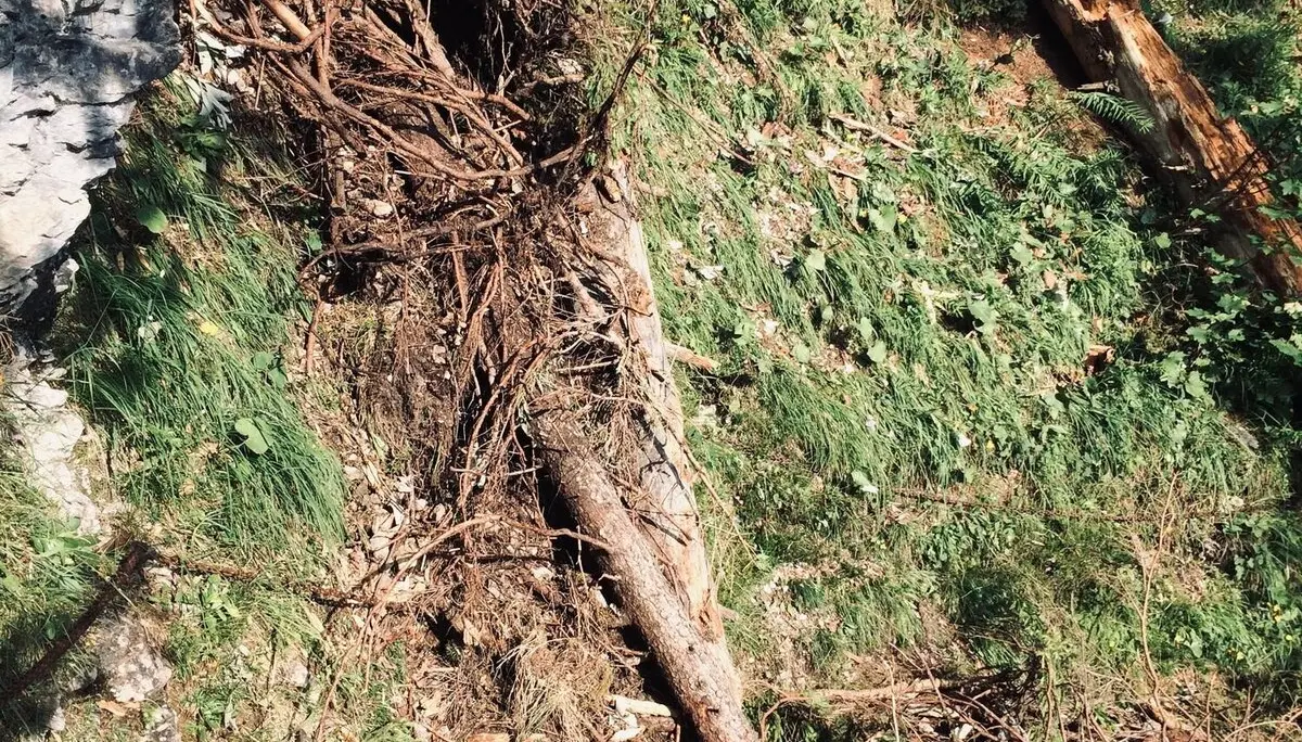 Unwetterschaden im Krottental | © G. Baumann