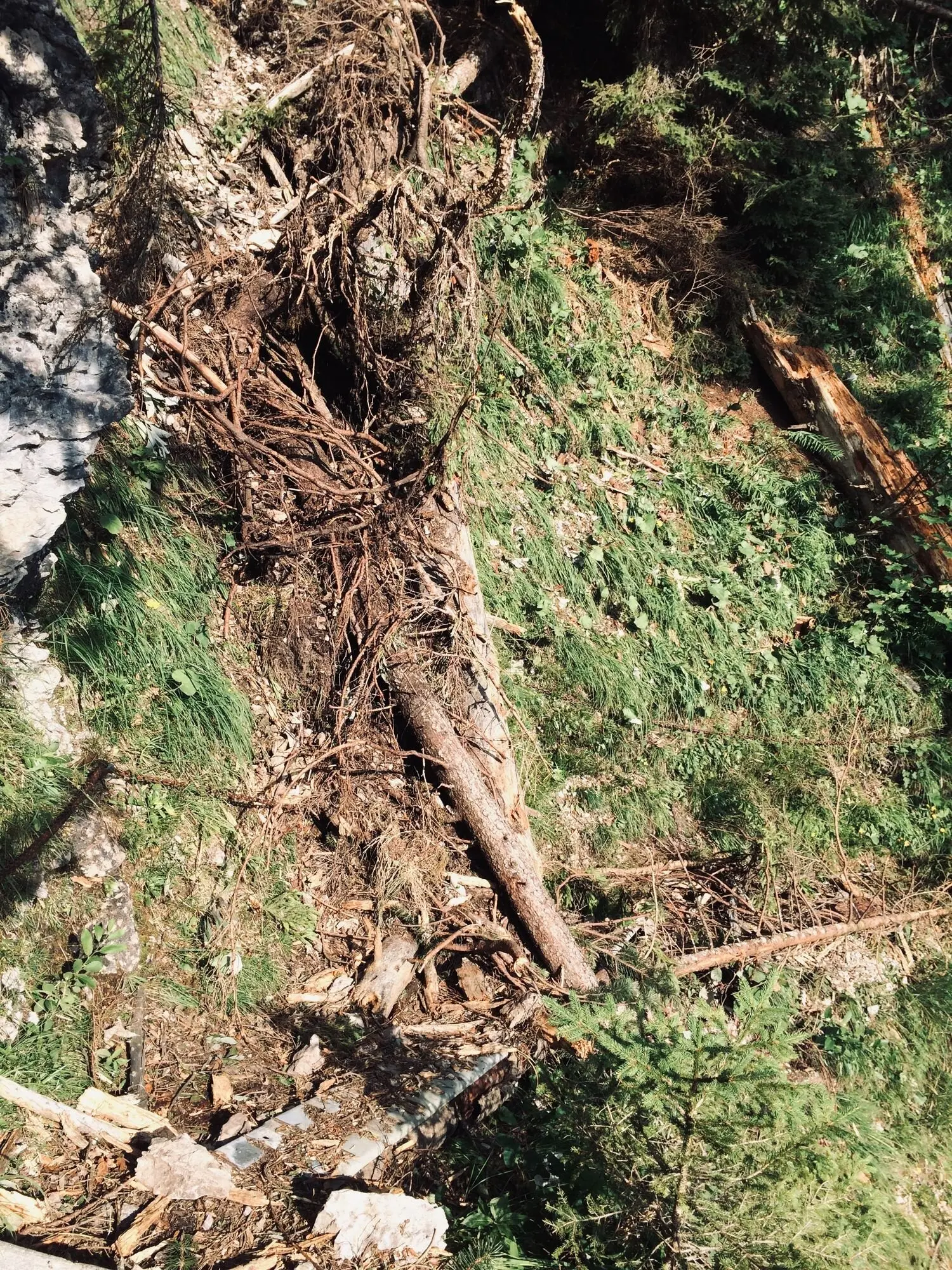 Unwetterschaden im Krottental | © G. Baumann