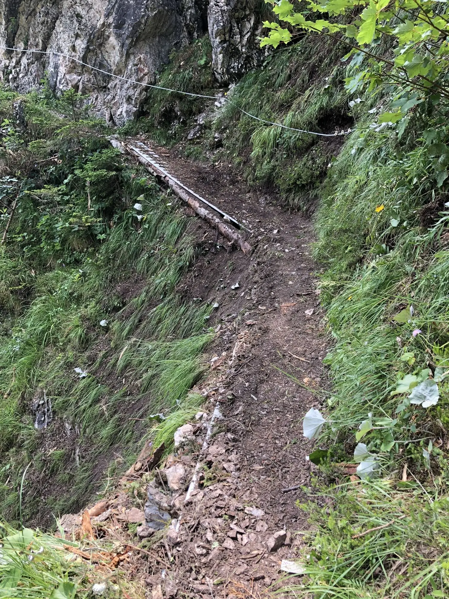 Der neue Steig durch das Krottental | © G. Baumann