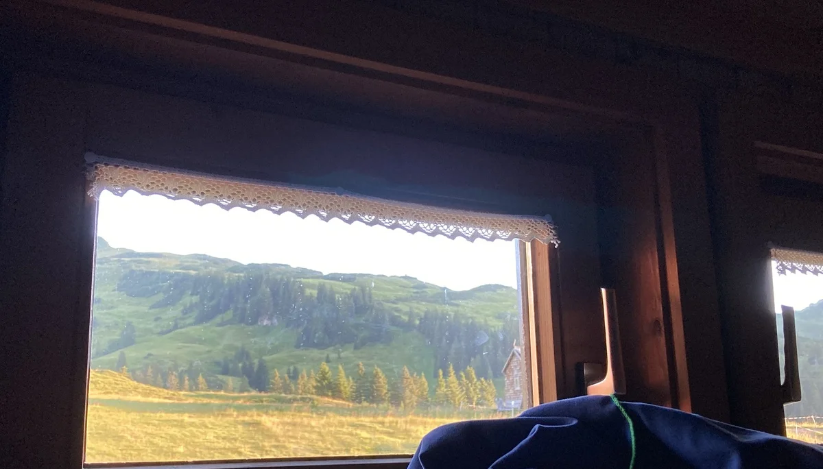 Seminar Alpenpflanzen und ihre Lebensräume Juli 2022 | © DAV Dillingen