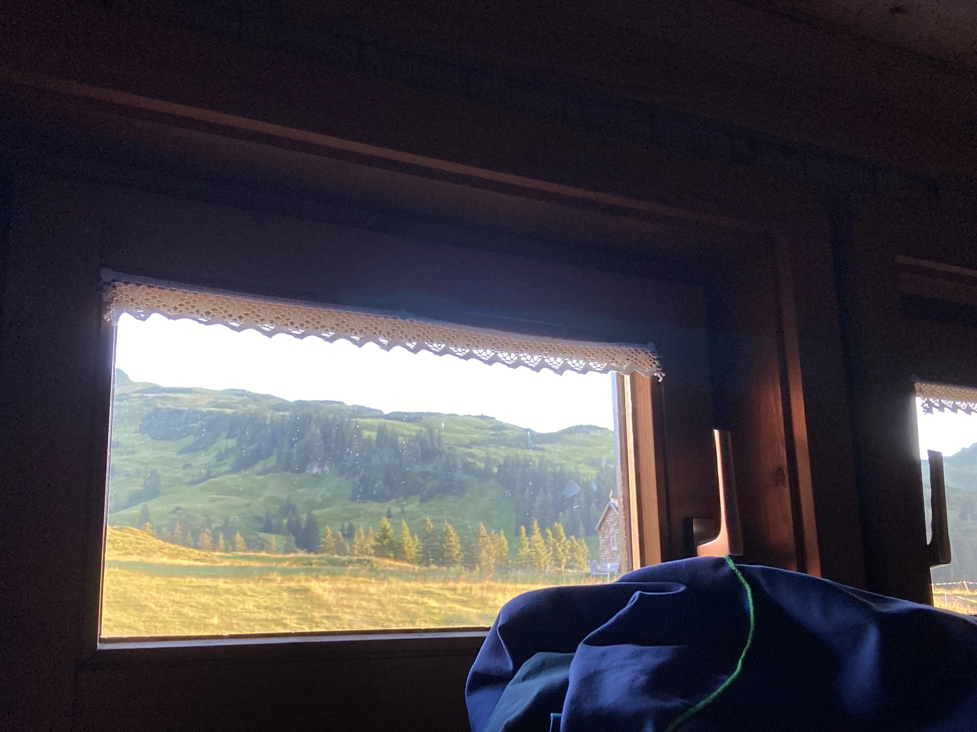 Seminar Alpenpflanzen und ihre Lebensräume Juli 2022 | © DAV Dillingen