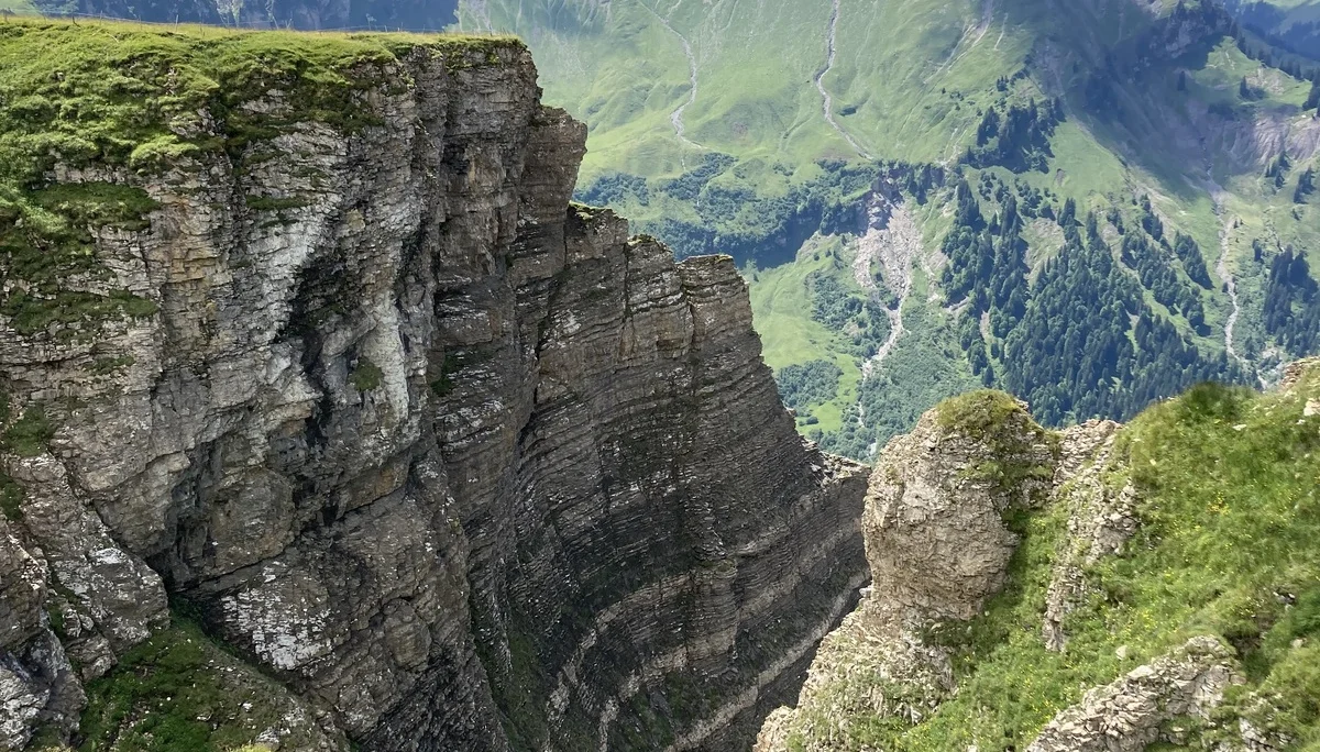 Seminar Alpenpflanzen und ihre Lebensräume Juli 2022 | © DAV Dillingen