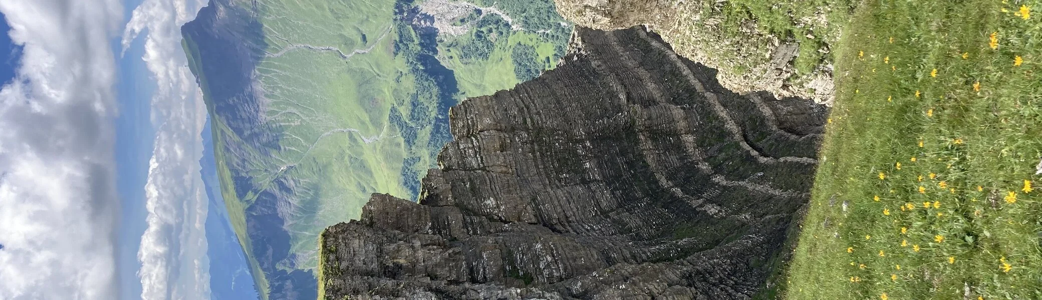 Seminar Alpenpflanzen und ihre Lebensräume Juli 2022 | © DAV Dillingen