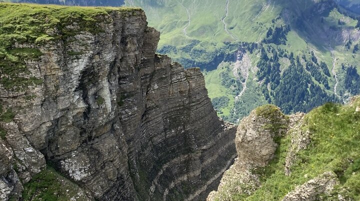 Seminar Alpenpflanzen und ihre Lebensräume Juli 2022 | © DAV Dillingen