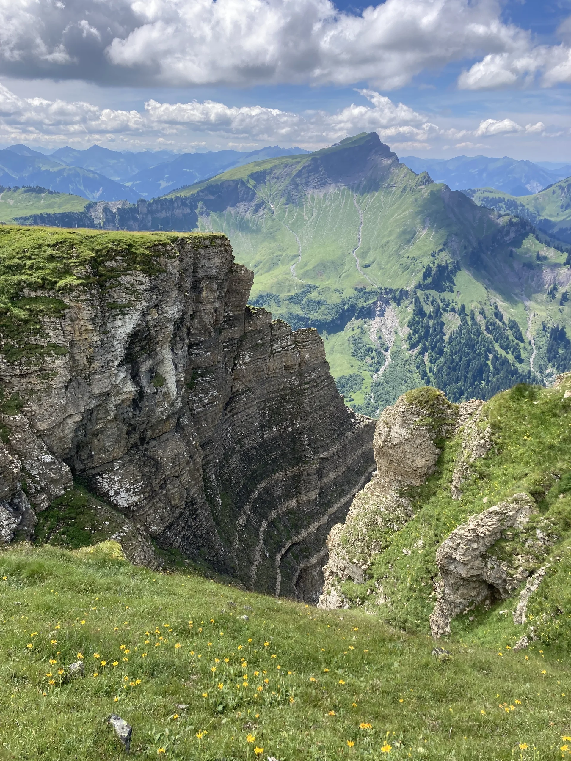 Seminar Alpenpflanzen und ihre Lebensräume Juli 2022 | © DAV Dillingen