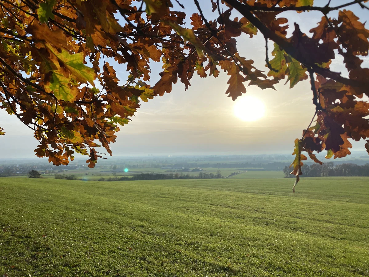 Blick vom Goldberg aufs Donautal | © Ulrich Weber